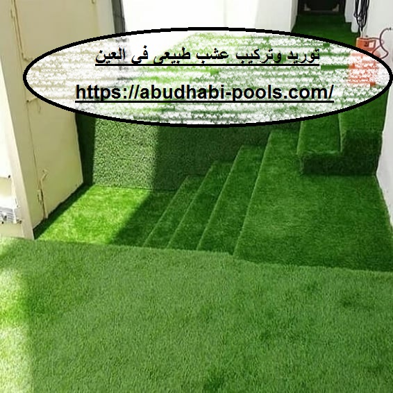 توريد وتركيب عشب طبيعى في العين توريد وتركيب عشب طبيعى في العين