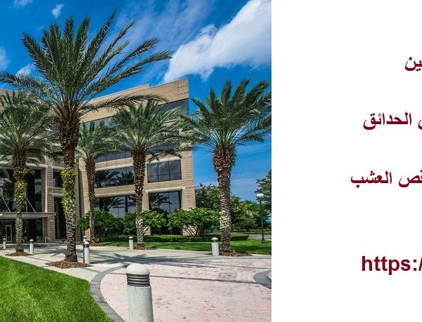 شركة لاند سكيب في العين